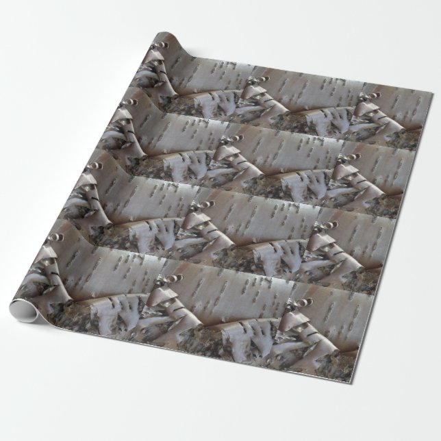 Papel De Presente Casca de Árvore de Bétula Encaracolada Rústica (Desenrolado)