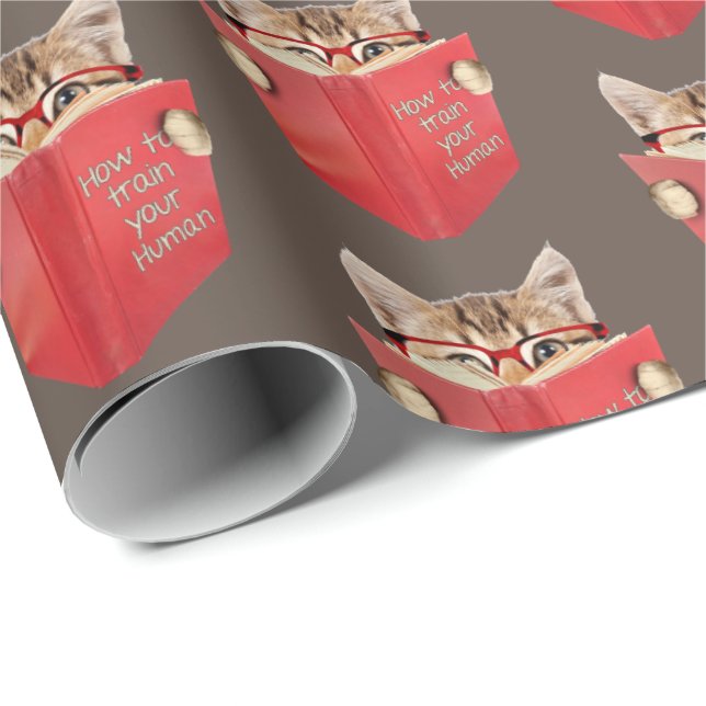 Papel De Presente Cat Lendo Livro Vermelho em Castanho (Ponta do rolo)