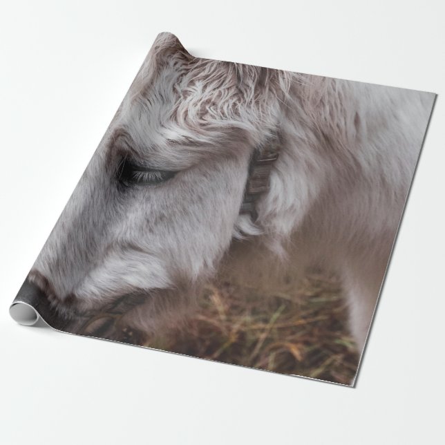 PAPEL DE PRESENTE CAVALO BRANCO (Desenrolado)