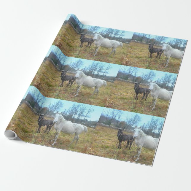 Papel De Presente Cavalo Branco Colt Preto (Desenrolado)