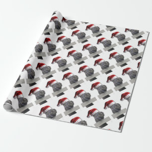 Papel De Presente Cavalo com um Chapéu de Papai Noel