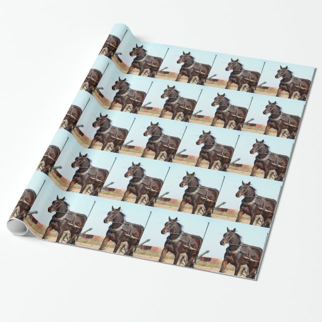 Papel De Presente Cavalo de Amish Rural e Buggy (Desenrolado)