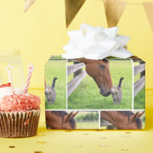 Papel De Presente Cavalo de Fazenda com Gato Malhado