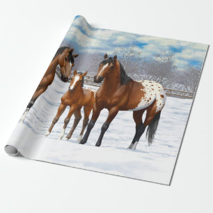 Papel De Presente Cavalos Appaloosa De Baía Castanha Em Neve