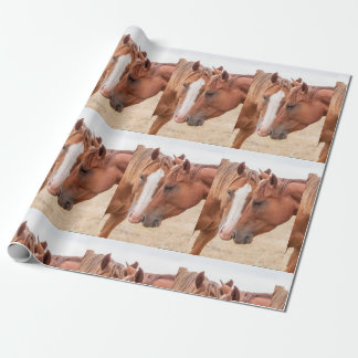 Papel De Presente Cavalos fungando em uma pastagem