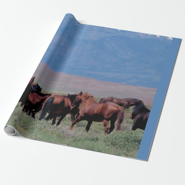 Papel De Presente Cavalos Selvagens para Oeste (Desenrolado)