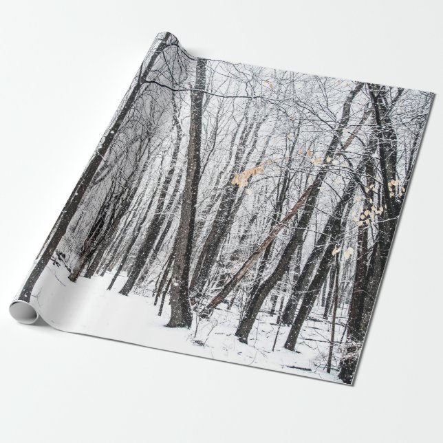Papel De Presente Cena de neve em Woodland Michigan (Desenrolado)