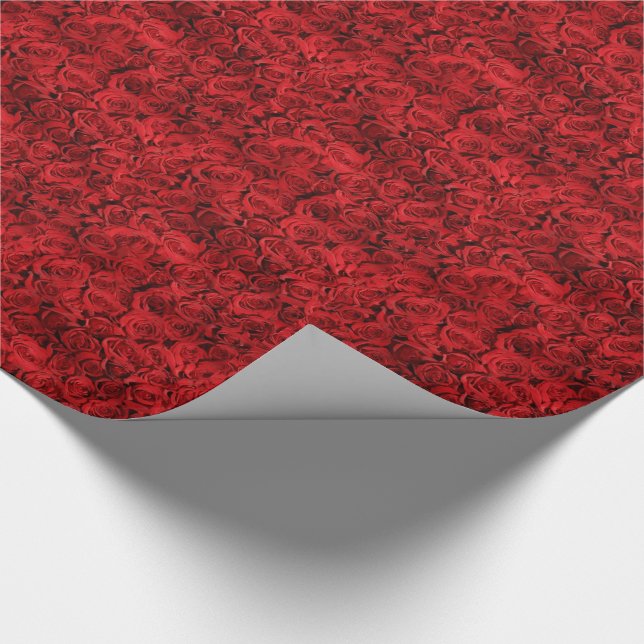 Papel De Presente Centenas de rosas vermelhas bonitas (Ponta)