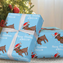 Cerveja Fofo com Chapéu de Papai Noel Crianças