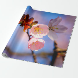 Papel De Presente Charming Sakura Blossoms