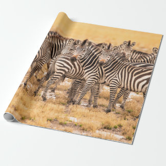 PAPEL DE PRESENTE CHEFE DE ZEBRAS