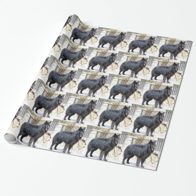 Papel De Presente Cheio belga (de Groenendael) (Desenrolado)