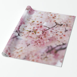 Papel De Presente Cherry Blossoms