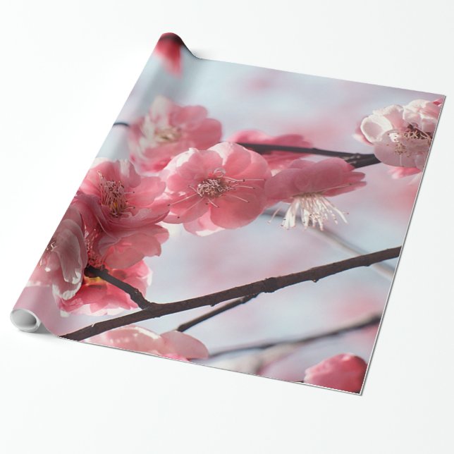 Papel De Presente Cherry Blossoms (Desenrolado)