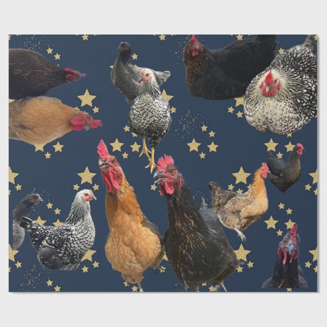 Papel De Presente Chicken Mania 2 All Occasion Wrapping Paper (Aberto)
