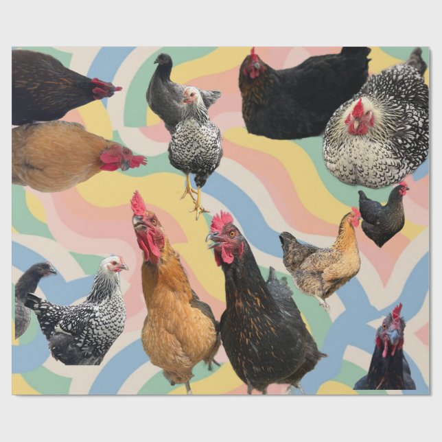 Papel De Presente Chicken Mania 2 All Occasion Wrapping Paper (Aberto)