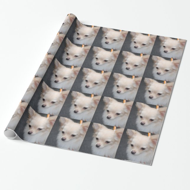 Papel De Presente Chihuahua (Desenrolado)