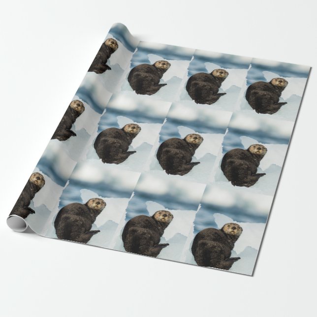 Papel De Presente Chilly Sea Otter (Desenrolado)