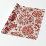 Papel De Presente Christmas Elegance n22<br><div class="desc">The 'Christmas Elegance' is the perfect choice for those who want to express holiday joy with a touch of sophistication. Celebrate the season with this unique piece that combines the charm of gift wrapping motifs with contemporary fashion.</div>