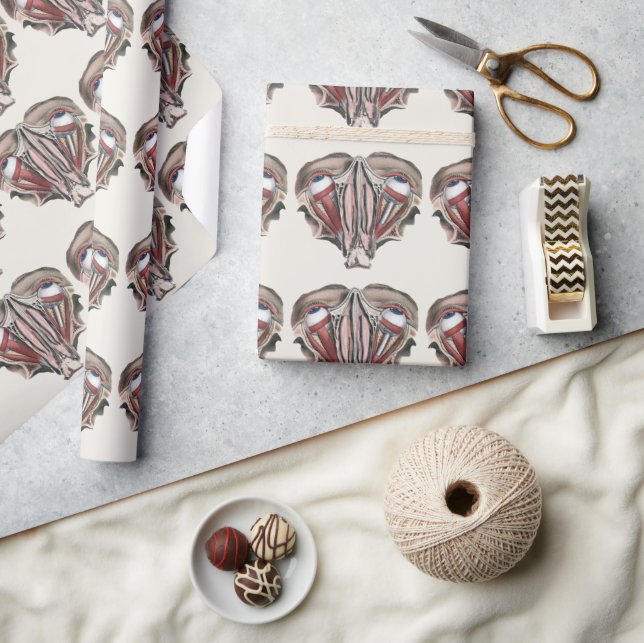 Papel De Presente Ciência de Anatomia Humana Antiga, Globos Oculares (Artesanato)