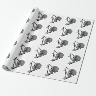 Papel De Presente Cinza, a verdade está lá fora