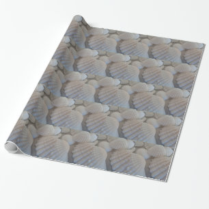 Papel De Presente Cinza Branca, Conchas, Sea Shell Summer Beach Love