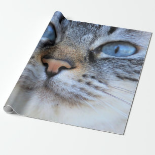Papel De Presente Cinza Cat