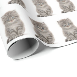 Papel De Presente Cinza Fluffy Kitten Em Branco
