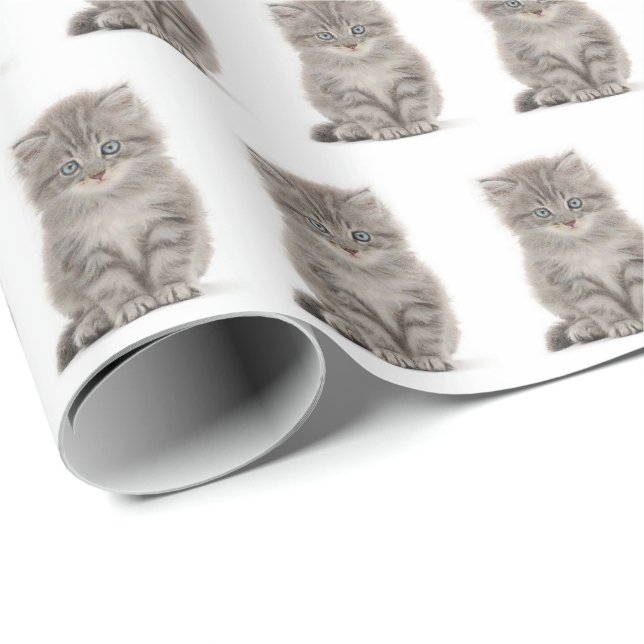 Papel De Presente Cinza Fluffy Kitten Em Branco (Ponta do rolo)