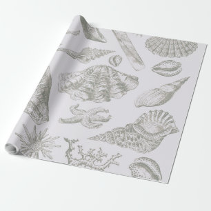 Papel De Presente Cinza suave sálvia Concha de mar Esboço Antigo Nat