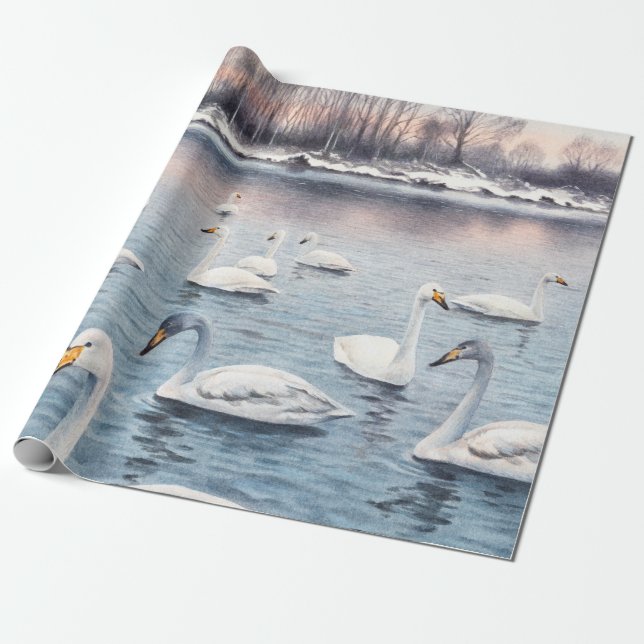 Papel De Presente Cisne branco-mudo num lago. Pintel de aquarela (Desenrolado)