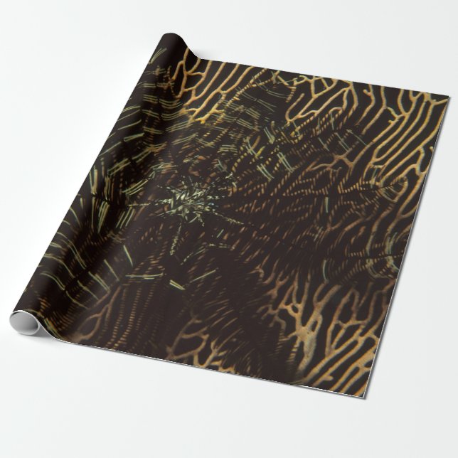 Papel De Presente Clima (Desenrolado)