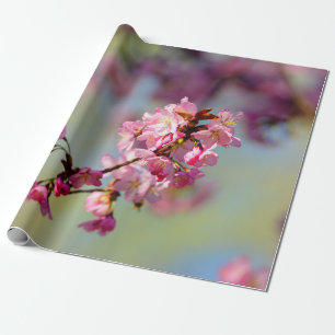 Papel De Presente Cluster De Flores Sakura Em Verde, Azul, Roxo