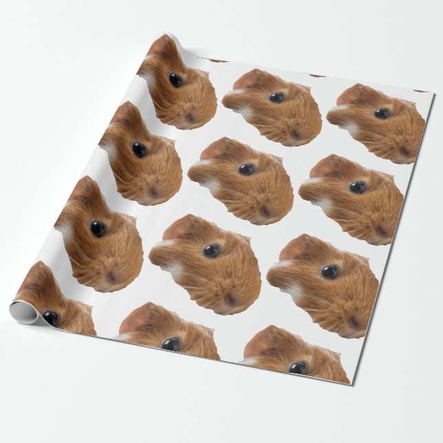 Papel De Presente cobaia (Desenrolado)