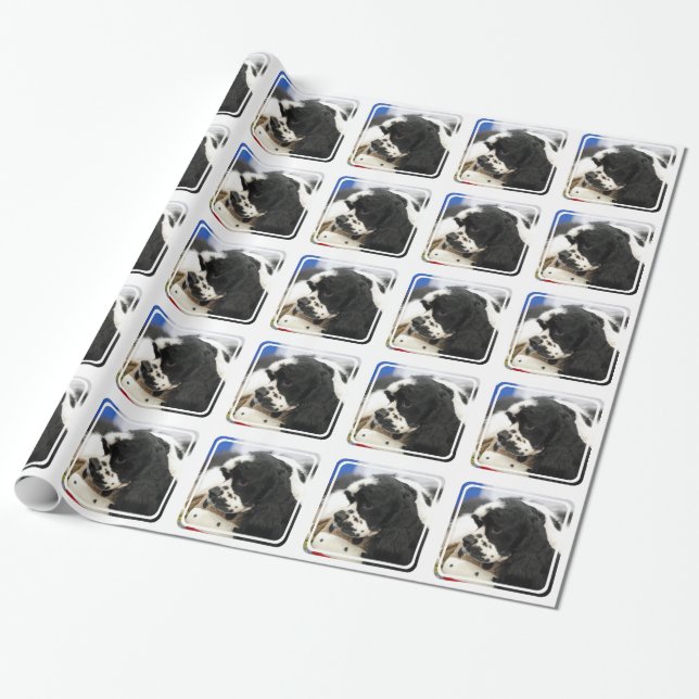 Papel De Presente Cocker spaniel preto e branco (Desenrolado)