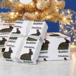 Papel De Presente Coelho Bunny Fofo