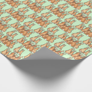 Papel De Presente Coelhos de coelhinhos brancos e bonitos na florest