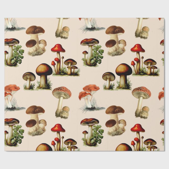 Papel De Presente cogumelos e fungos de colheita (Aberto)