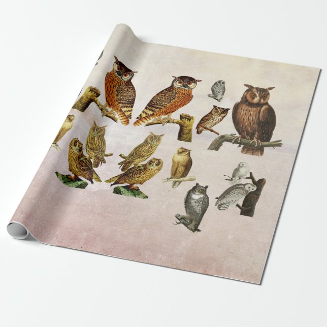 Papel De Presente Colagem de Artes de Animais Selvagens (Desenrolado)