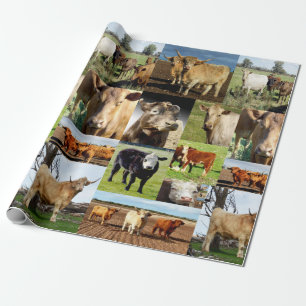 Papel De Presente Colagem De Fotografias De Vaca,