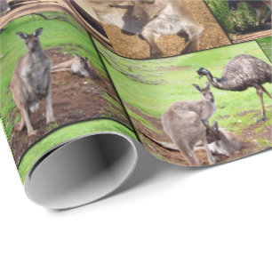 Papel De Presente Colagem de Fotos de Kangaroo,