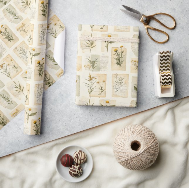 Papel De Presente Colagem do Herbário de Margarida Antiga (Artesanato)