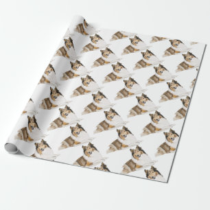 Papel De Presente Collie áspero