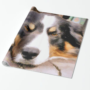 PAPEL DE PRESENTE COLLIE DE BORDA