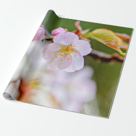 Papel De Presente Composição Floral Natural Das Flores Sakura