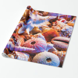 Papel De Presente Conchas 1 Alt