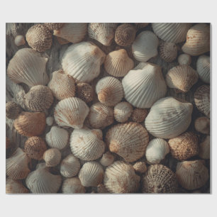 Papel De Presente Conchas Antigas de Praia Natal à Beira-Mar