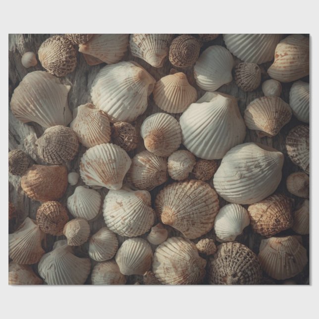 Papel De Presente Conchas Antigas de Praia Natal à Beira-Mar  (Aberto)