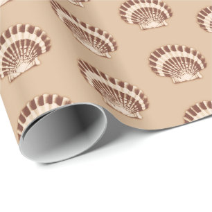 Papel De Presente Conchas marítimas - castanho e bege
