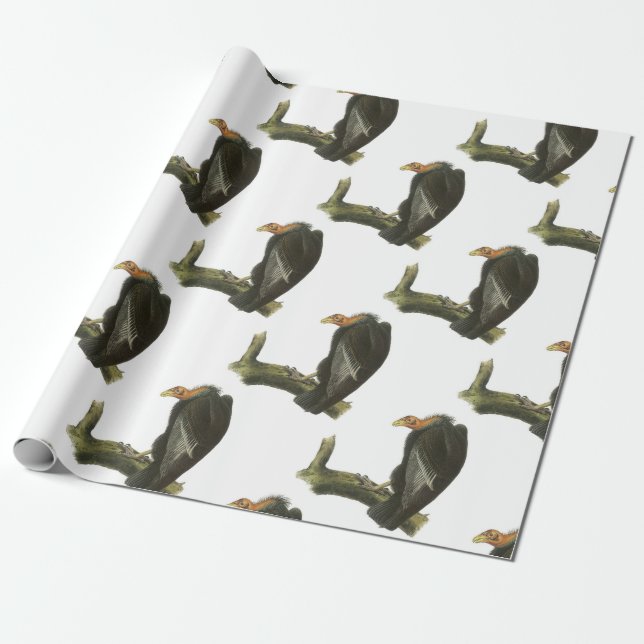 Papel De Presente Condor de Califórnia por Audubon (Desenrolado)